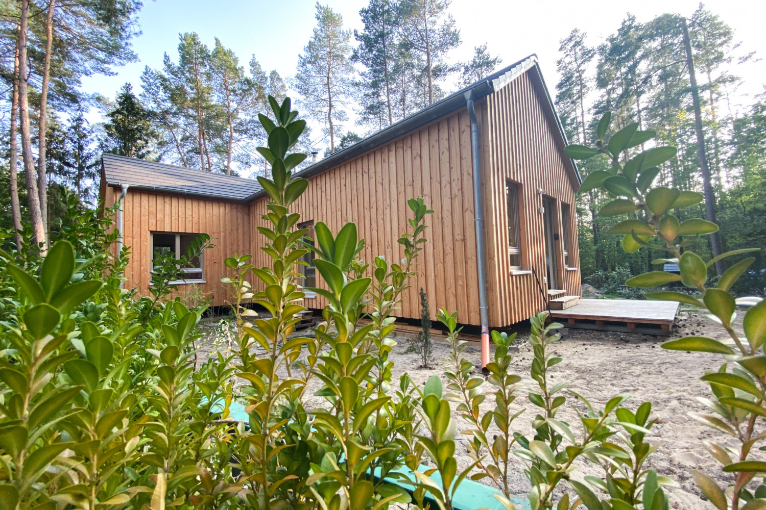 Tiny House 