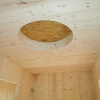 THWEmendingen in NUR HOLZ 2068