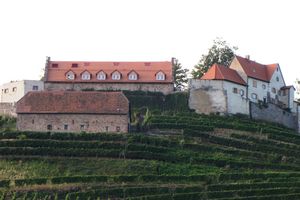 Dachsanierung Schloss Staufenberg Durbach