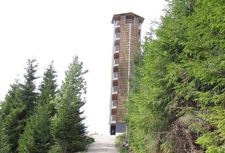 Buchkopfturm: Menuiserie des éléments en bois lamellé-collé en croix