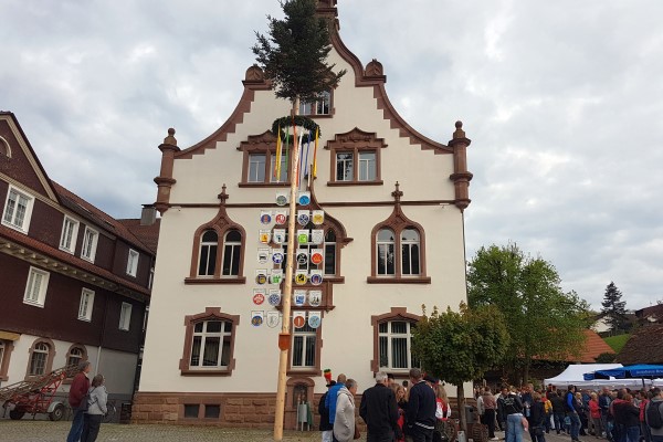 Maibaum stellen in Oberharmersbach durch die Zimmerer